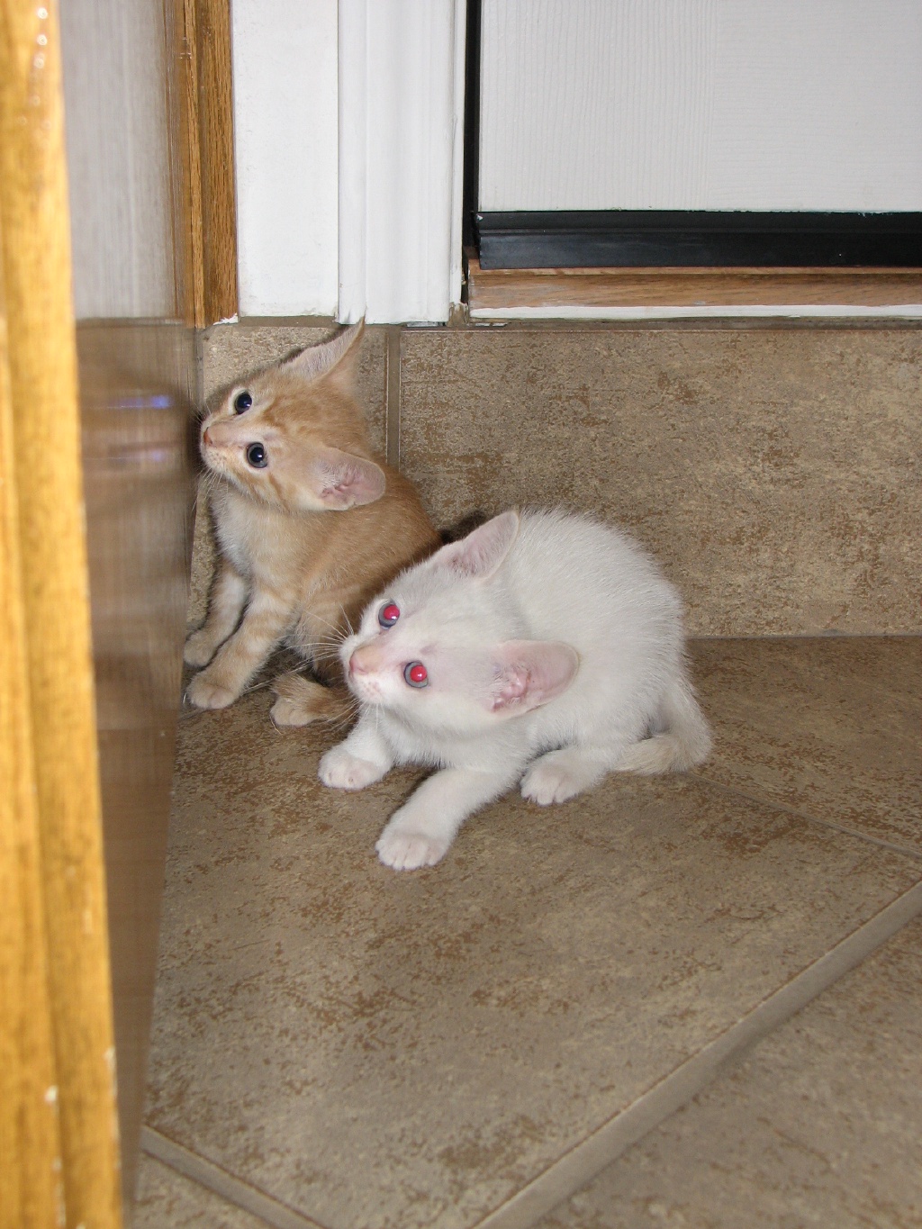 20100206 437.JPG
